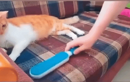 CEPILLO REMOVEDOR DE PELO DE MASCOTA